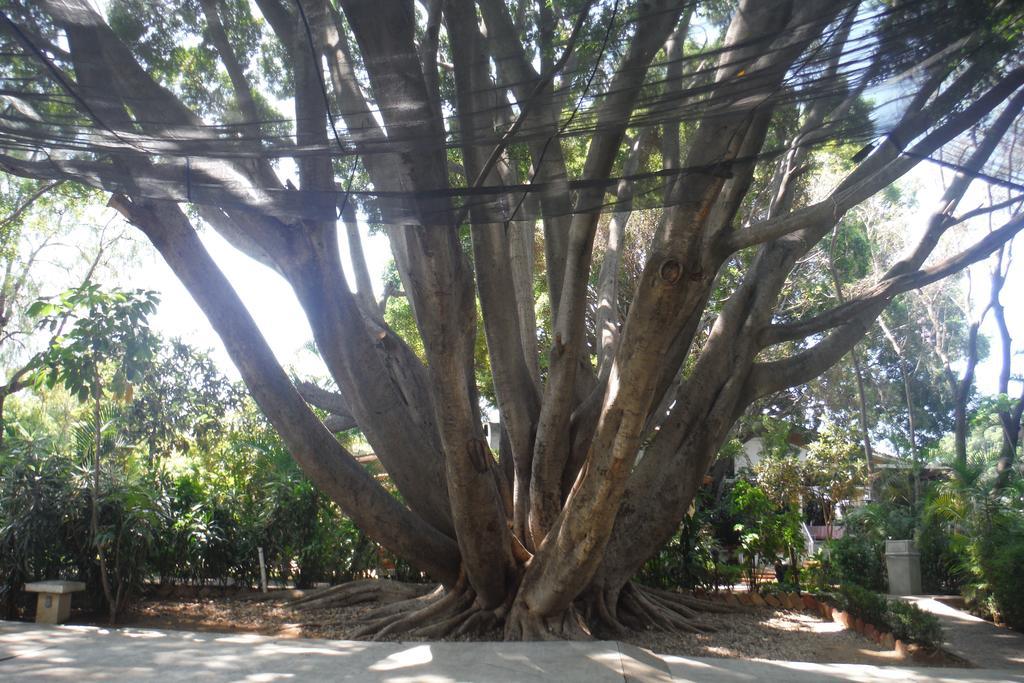 Mision De Los Angeles Oaxaca Εξωτερικό φωτογραφία
